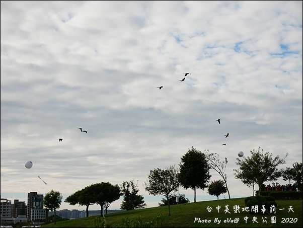 台中中央公園-39.jpg