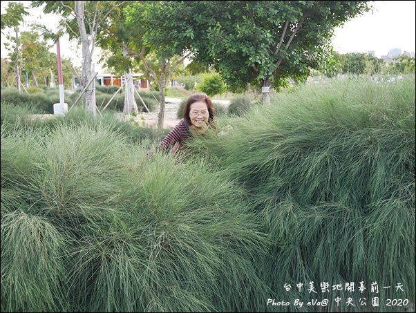 台中中央公園-38.jpg