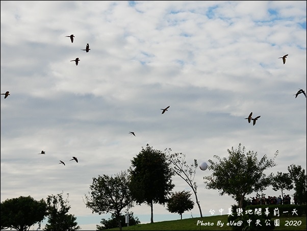 台中中央公園-41.jpg