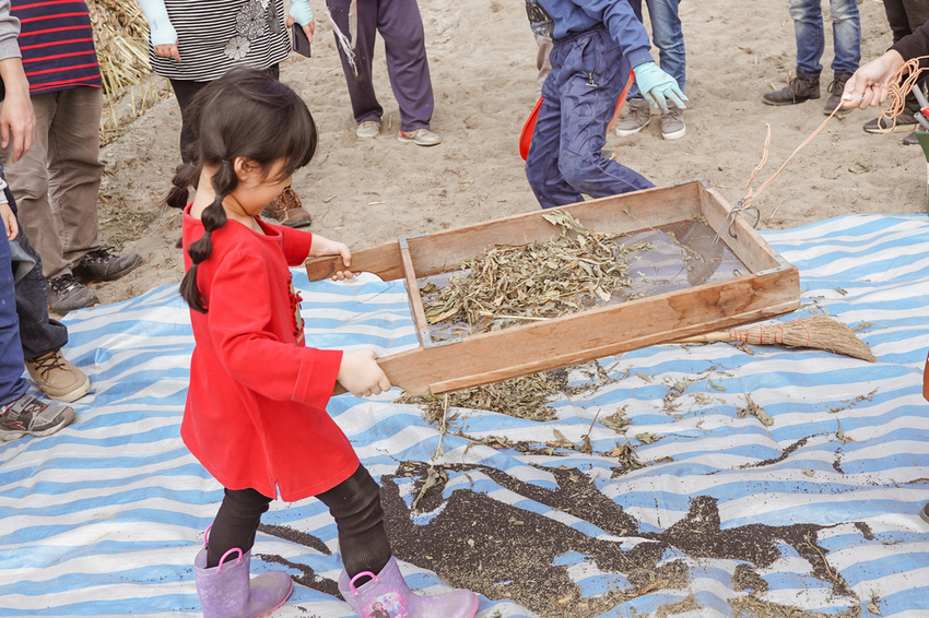 台南親子行程 2020國產雜糧十大經典體驗路線 西港區農會「西港農濃麻香手作體驗」一起到胡麻田中探索田園風光 體驗純樸農村美景46.jpg