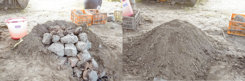 台南親子行程 2020國產雜糧十大經典體驗路線 西港區農會「西港農濃麻香手作體驗」一起到胡麻田中探索田園風光 體驗純樸農村美景30A.jpg