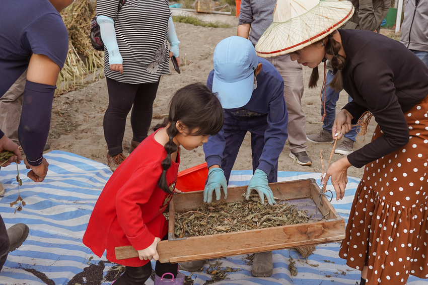 台南親子行程 2020國產雜糧十大經典體驗路線 西港區農會「西港農濃麻香手作體驗」一起到胡麻田中探索田園風光 體驗純樸農村美景47.jpg