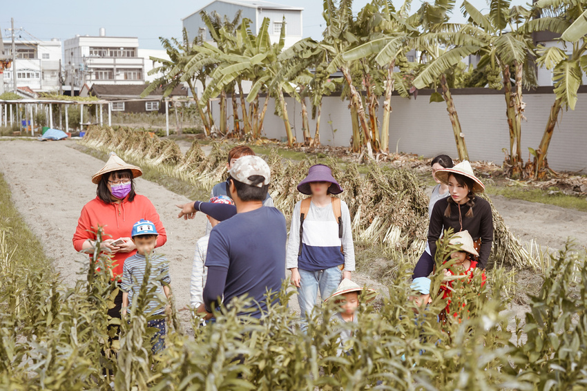 台南親子行程 2020國產雜糧十大經典體驗路線 西港區農會「西港農濃麻香手作體驗」一起到胡麻田中探索田園風光 體驗純樸農村美景34.jpg