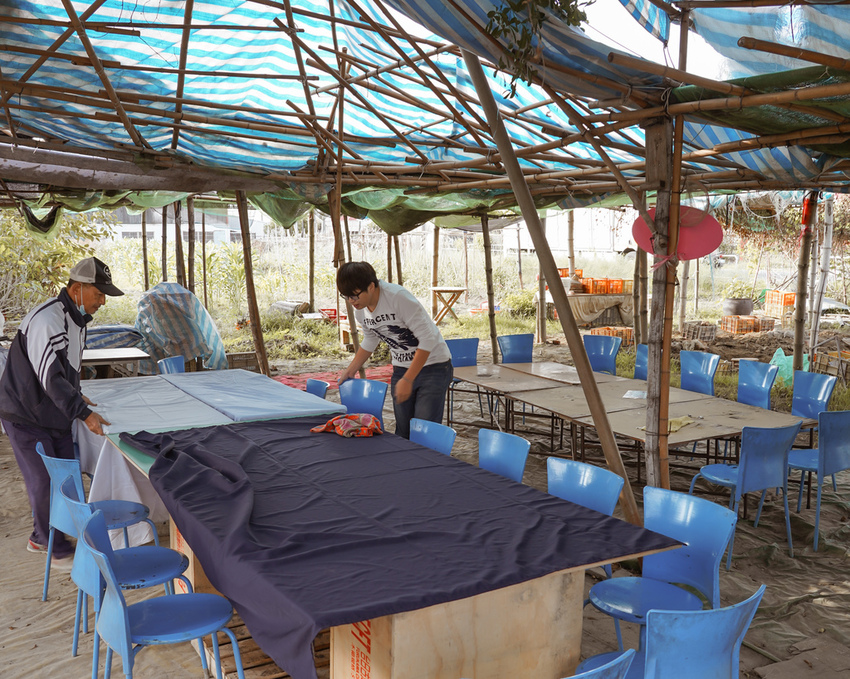 台南親子行程 2020國產雜糧十大經典體驗路線 西港區農會「西港農濃麻香手作體驗」一起到胡麻田中探索田園風光 體驗純樸農村美景3.jpg