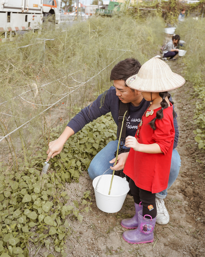 台南親子行程 2020國產雜糧十大經典體驗路線 西港區農會「西港農濃麻香手作體驗」一起到胡麻田中探索田園風光 體驗純樸農村美景20.jpg