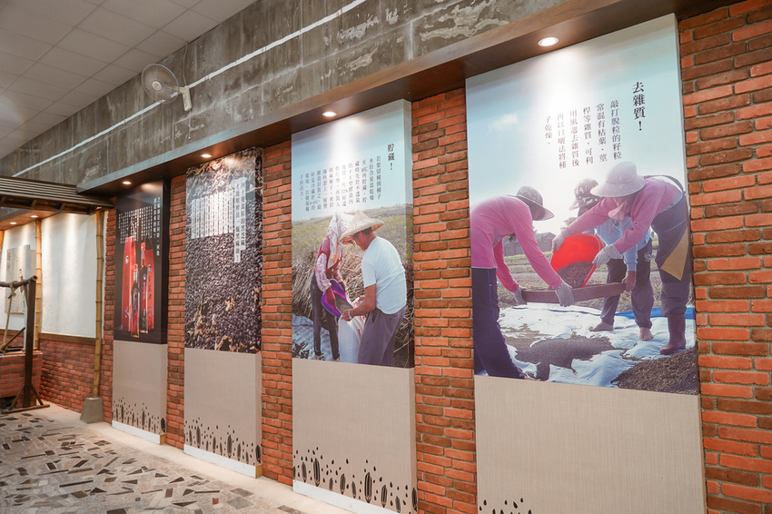 台南親子行程 2020國產雜糧十大經典體驗路線 西港區農會「西港農濃麻香手作體驗」一起到胡麻田中探索田園風光 體驗純樸農村美景81.jpg