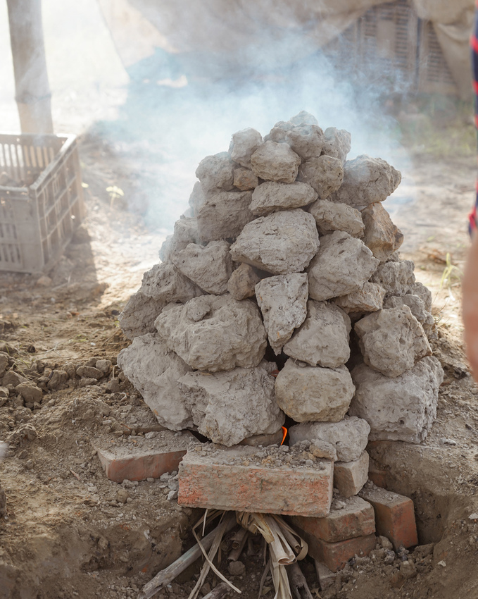 台南親子行程 2020國產雜糧十大經典體驗路線 西港區農會「西港農濃麻香手作體驗」一起到胡麻田中探索田園風光 體驗純樸農村美景9.jpg
