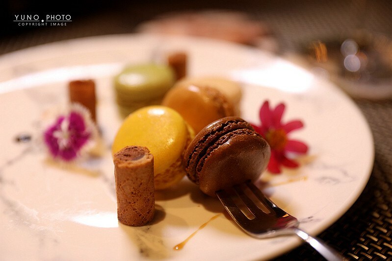 醉貓Drunk Cat 餐酒貓咪控東區餐酒館221 醉貓Drunk Cat 餐酒貓咪控東區餐酒館221