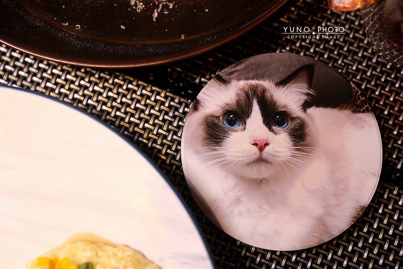 醉貓Drunk Cat 餐酒貓咪控東區餐酒館098 醉貓Drunk Cat 餐酒貓咪控東區餐酒館098