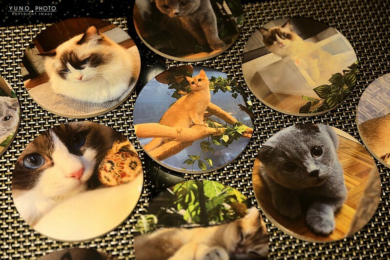 醉貓Drunk Cat 餐酒貓咪控東區餐酒館179 醉貓Drunk Cat 餐酒貓咪控東區餐酒館179