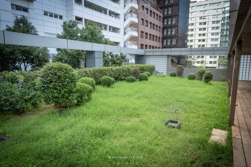 台北內湖美食｜GUMGUM NOT ONLY BEER & WINGS 雞翅啤酒吧內科店～內湖最美的戶外露營風餐酒館、超美的森林