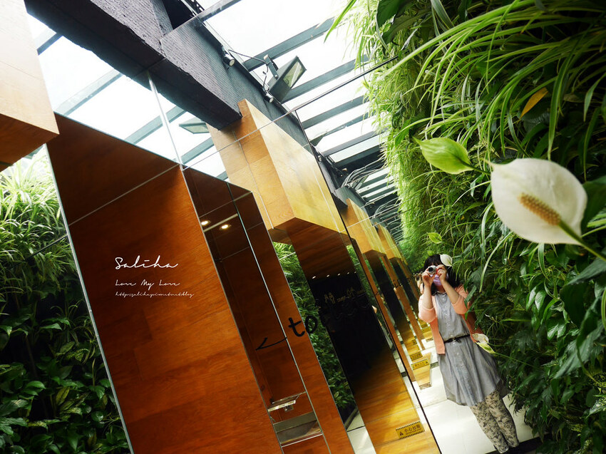 台北小巨蛋美食餐廳推薦Salad Den早午餐沙拉咖啡果汁甜點超好拍植物牆 (3) 台北小巨蛋美食餐廳推薦Salad Den早午餐沙拉咖啡果汁甜點超好拍植物牆 (3)