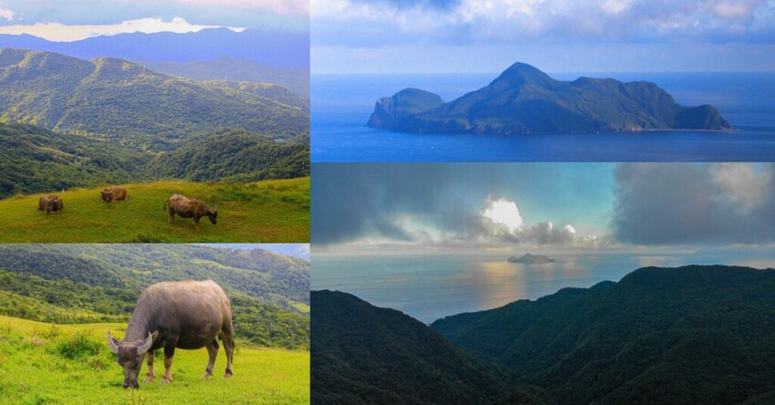 【新北住宿】大板根森林溫泉渡假村，親子主題客房、芬多精寵物客房開箱！