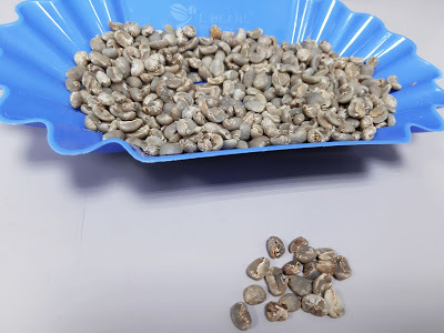 你的咖啡你來作主─Sandbox Smart 智能烘豆機│your Coffee your choice