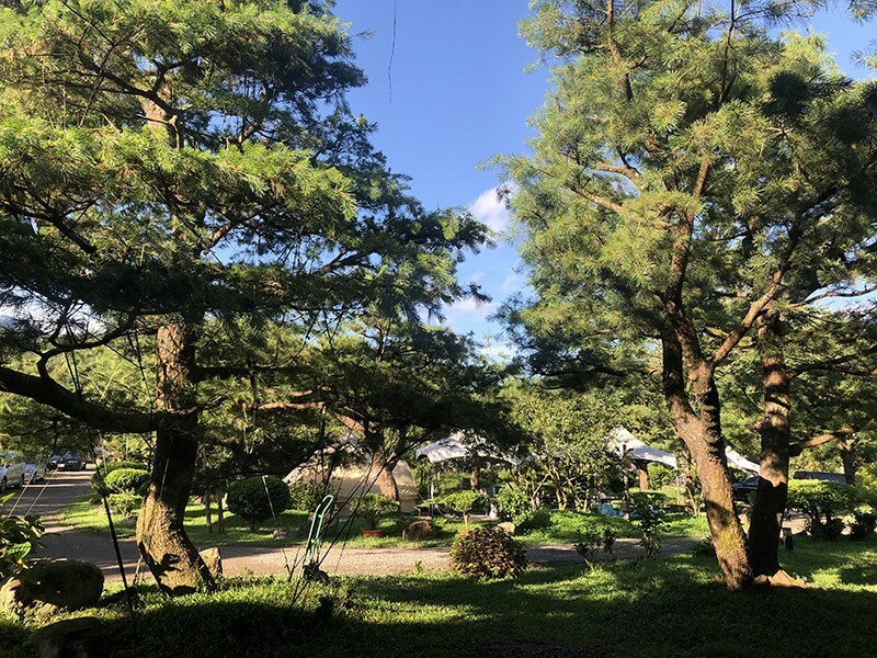 【南投縣魚池鄉】一晚千元有找/平價豪華露營/波西米亞神殿帳/松樹營地/拂水山莊