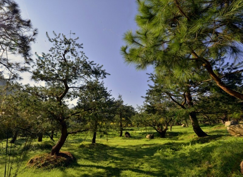 【南投縣魚池鄉】一晚千元有找/平價豪華露營/波西米亞神殿帳/松樹營地/拂水山莊