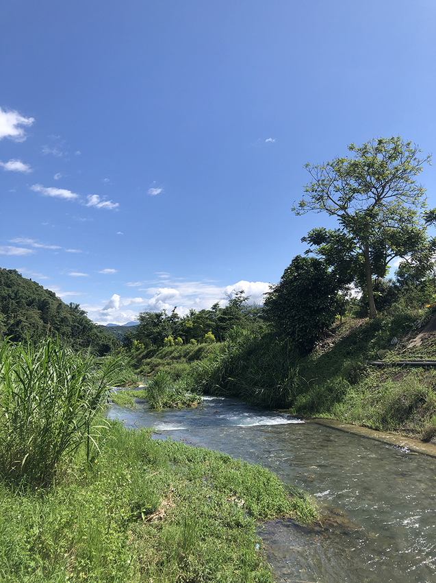【南投縣魚池鄉】一晚千元有找/平價豪華露營/波西米亞神殿帳/松樹營地/拂水山莊