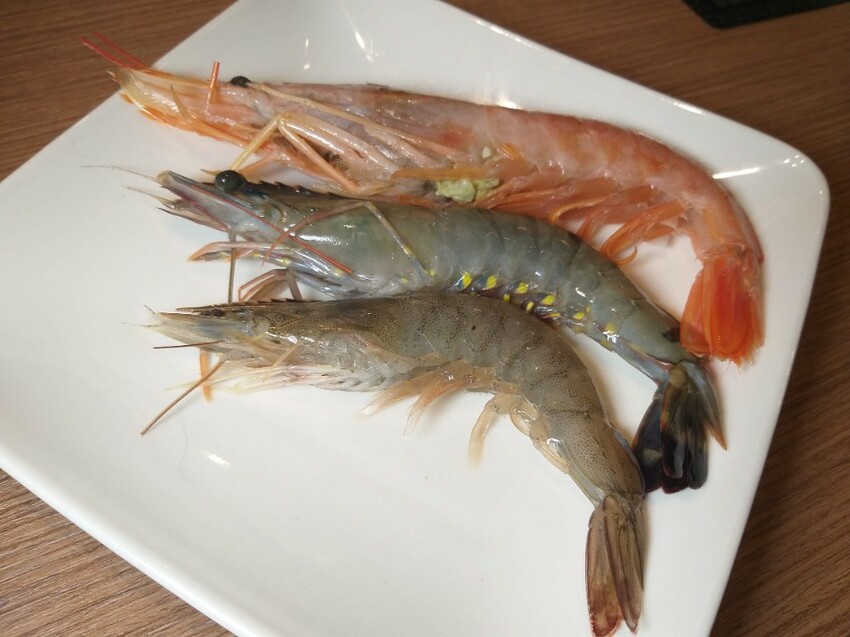 【美食】大橋頭火鍋推薦「荖子鍋」大同區火鍋推薦，新鮮製麵無限供應、20種海陸主食