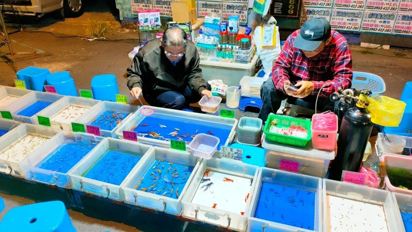 【東港夜市攻略】屏東必逛! 超過600公尺、上百攤商美食古早味!