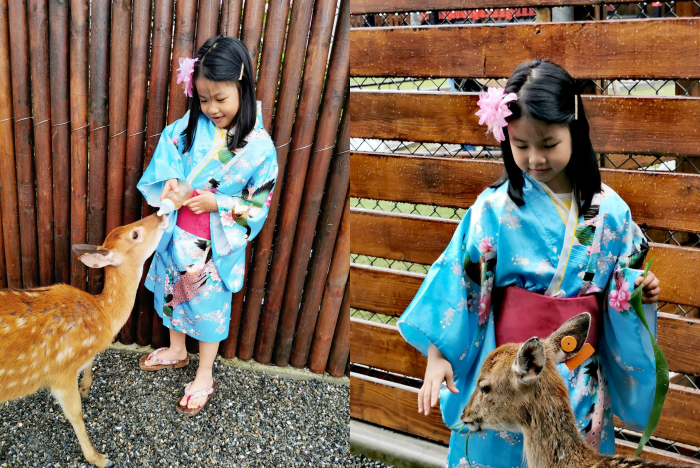 宜蘭景點  ▏新萌主報到！張美阿嬷農場，超人氣水豚君駕到！還能跟可愛梅花鹿互動拍照喔～ @捲捲頭 Wonderful 品味。生活