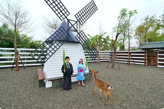 宜蘭景點  ▏新萌主報到！張美阿嬷農場，超人氣水豚君駕到！還能跟可愛梅花鹿互動拍照喔～ @捲捲頭 Wonderful 品味。生活