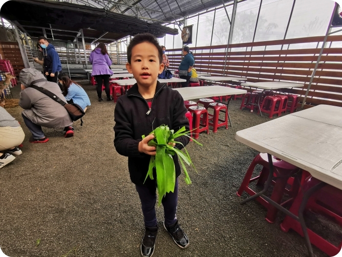 宜蘭景點  ▏新萌主報到！張美阿嬷農場，超人氣水豚君駕到！還能跟可愛梅花鹿互動拍照喔～ @捲捲頭 Wonderful 品味。生活