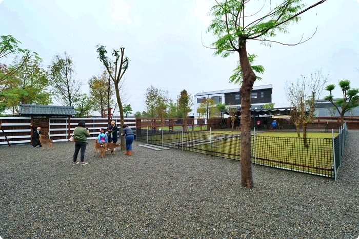 宜蘭景點  ▏新萌主報到！張美阿嬷農場，超人氣水豚君駕到！還能跟可愛梅花鹿互動拍照喔～ @捲捲頭 Wonderful 品味。生活