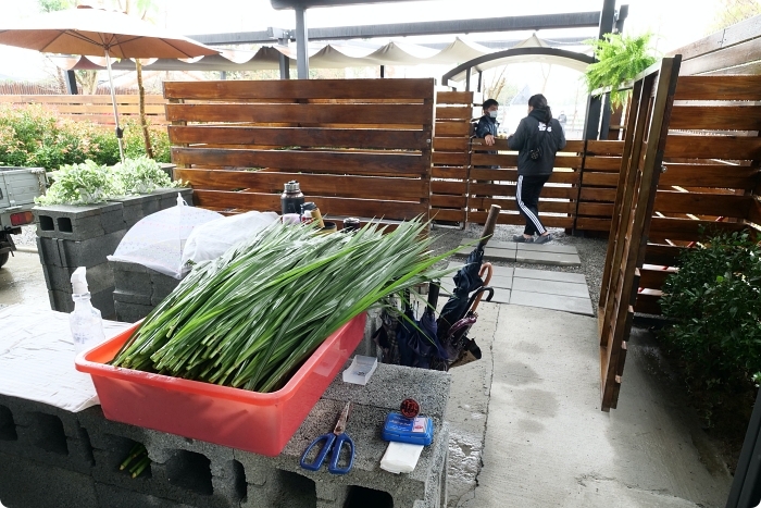 宜蘭景點  ▏新萌主報到！張美阿嬷農場，超人氣水豚君駕到！還能跟可愛梅花鹿互動拍照喔～ @捲捲頭 Wonderful 品味。生活