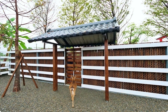 宜蘭景點  ▏新萌主報到！張美阿嬷農場，超人氣水豚君駕到！還能跟可愛梅花鹿互動拍照喔～ @捲捲頭 Wonderful 品味。生活