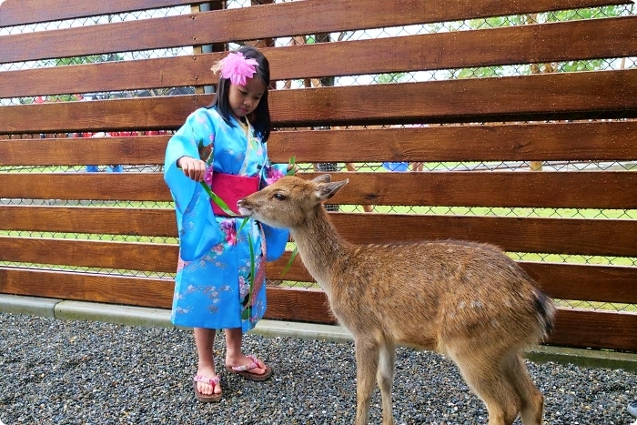 宜蘭景點  ▏新萌主報到！張美阿嬷農場，超人氣水豚君駕到！還能跟可愛梅花鹿互動拍照喔～ @捲捲頭 Wonderful 品味。生活