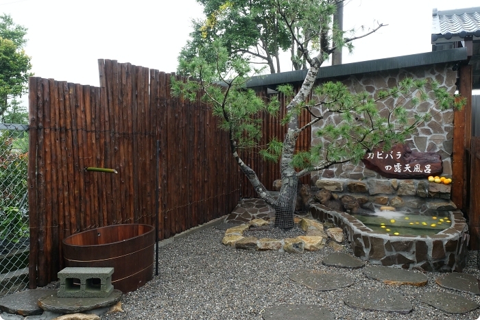 宜蘭景點  ▏新萌主報到！張美阿嬷農場，超人氣水豚君駕到！還能跟可愛梅花鹿互動拍照喔～ @捲捲頭 Wonderful 品味。生活