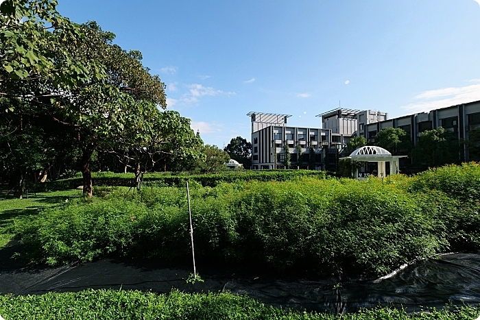 花蓮住宿 ▏秧悅美地度假酒店。置身海島的夢幻泳池X花草森林早餐，還有客房專屬芳療蒸氣浴！ @捲捲頭 Wonderful 品味。生活