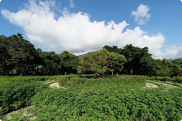 花蓮住宿 ▏秧悅美地度假酒店。置身海島的夢幻泳池X花草森林早餐，還有客房專屬芳療蒸氣浴！ @捲捲頭 Wonderful 品味。生活