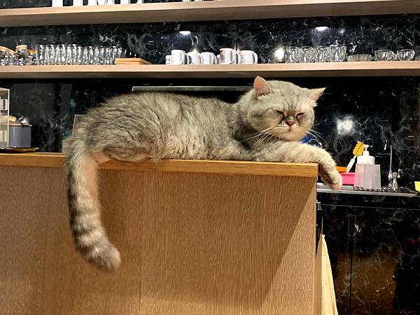貓食光_201217_4.jpg