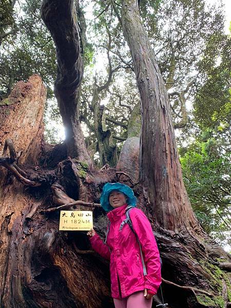 Jessica遊記-人生第一次挑戰新竹尖石鄉中級山「高台山+小島田山+中島田山+大島田山縱走」花費7小時，挑戰成功！（爬山是敬畏之心）