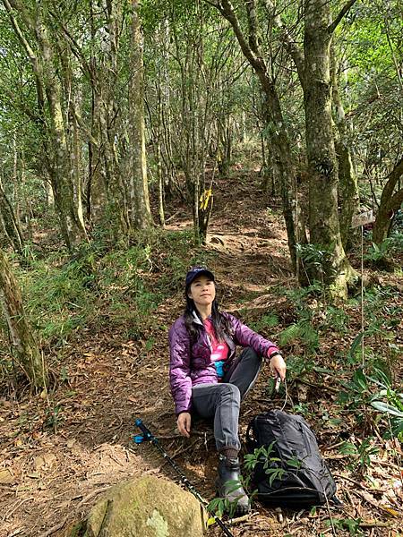 Jessica遊記-人生第一次挑戰新竹尖石鄉中級山「高台山+小島田山+中島田山+大島田山縱走」花費7小時，挑戰成功！（爬山是敬畏之心）