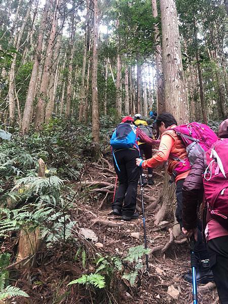 Jessica遊記-人生第一次挑戰新竹尖石鄉中級山「高台山+小島田山+中島田山+大島田山縱走」花費7小時，挑戰成功！（爬山是敬畏之心）