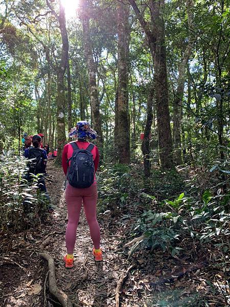 Jessica遊記-人生第一次挑戰新竹尖石鄉中級山「高台山+小島田山+中島田山+大島田山縱走」花費7小時，挑戰成功！（爬山是敬畏之心）
