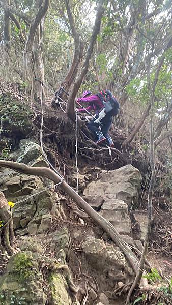 Jessica遊記-人生第一次挑戰新竹尖石鄉中級山「高台山+小島田山+中島田山+大島田山縱走」花費7小時，挑戰成功！（爬山是敬畏之心）