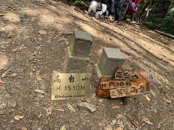 Jessica遊記-人生第一次挑戰新竹尖石鄉中級山「高台山+小島田山+中島田山+大島田山縱走」花費7小時，挑戰成功！（爬山是敬畏之心）