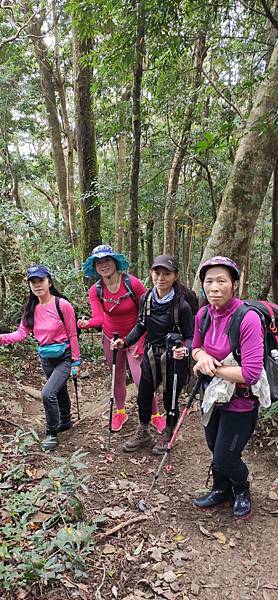 Jessica遊記-人生第一次挑戰新竹尖石鄉中級山「高台山+小島田山+中島田山+大島田山縱走」花費7小時，挑戰成功！（爬山是敬畏之心）