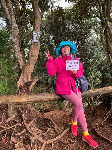 Jessica遊記-人生第一次挑戰新竹尖石鄉中級山「高台山+小島田山+中島田山+大島田山縱走」花費7小時，挑戰成功！（爬山是敬畏之心）