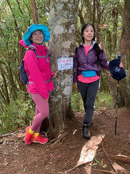 Jessica遊記-人生第一次挑戰新竹尖石鄉中級山「高台山+小島田山+中島田山+大島田山縱走」花費7小時，挑戰成功！（爬山是敬畏之心）