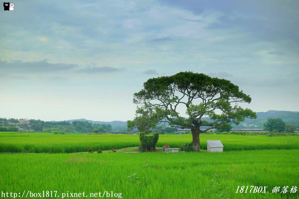 1560146470-1393320365_n