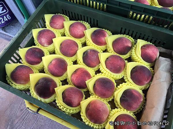 清境日出 (21).JPG