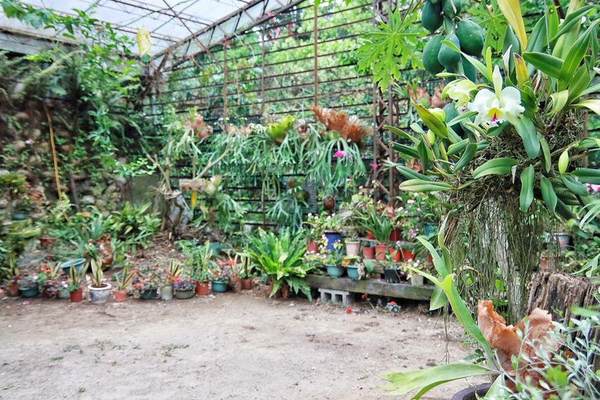 苗栗美食/三義土雞城，老字號三義美食，田野中的天堂美食極富詩情畫意 - Ann‧榜哥‧生活事務所