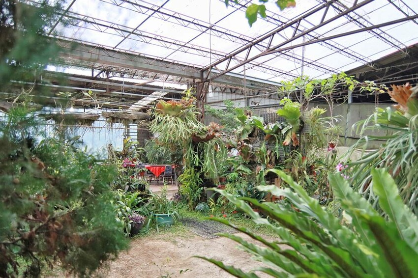 苗栗美食/三義土雞城，老字號三義美食，田野中的天堂美食極富詩情畫意 - Ann‧榜哥‧生活事務所