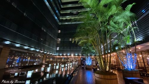 1025 2-PaPaWhale 06.jpg