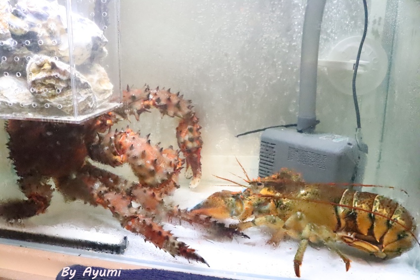 IMG_0044.JPG IMG_0044.JPG