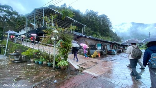 1211 信賢部落12.jpg